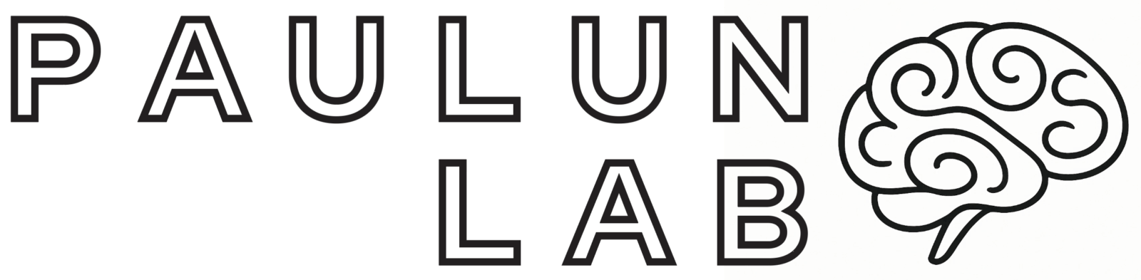 Paulun Lab