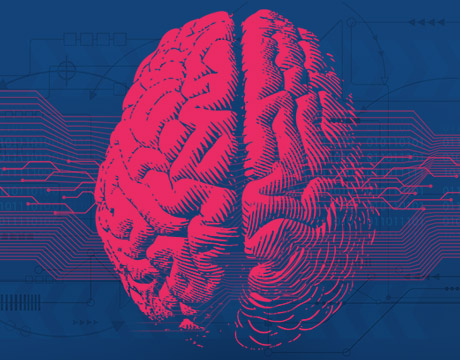 brain research banner